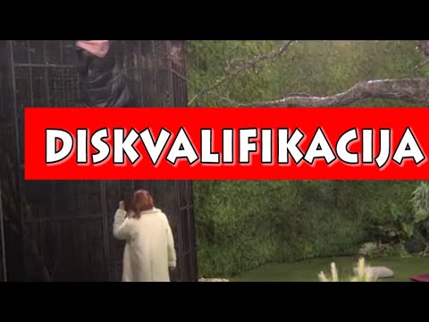 Zadruga! DISKVALIFIKACIJA! NOĆAS BEKSTVO IZ ZADRUGE