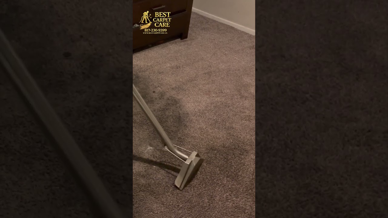 Extremely Filthy Carpet Transformed 😱 Shocking Before & After 📍 Dallas – Fort Worth