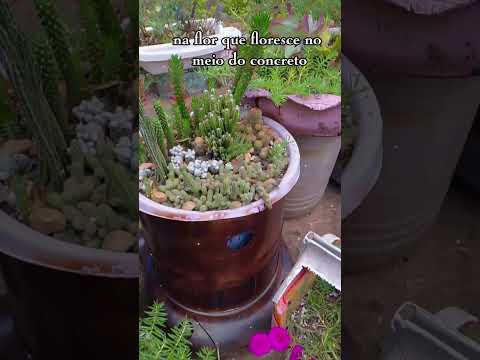 #Cidade de #Cachoeira do sul #Rio Grande de Sul