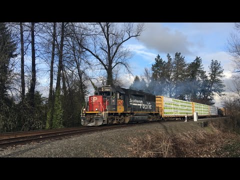 UP 1124 ex-Southern Pacific GP60 Weyerhaeuser Local at Springfield Junction, OR.