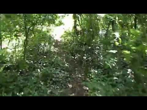 Holywell Town branch railway trackbed & A548 bridge Greenfield Wales