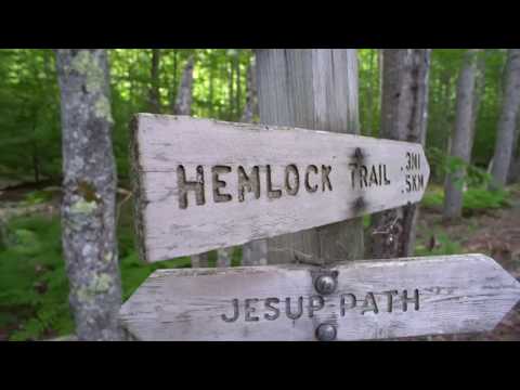 Audio Described - The Threat of Invasive Species