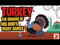 Turkey - The Origins of this Bird's Many Names - in a Nutshell