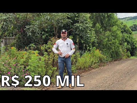 CHÁCARA PANORÂMICA CASA 4 QUARTOS TERRA ROXA MUITA FRUTA E LAVOURA R$ 250 MIL