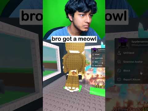 I GOT A MEOWL