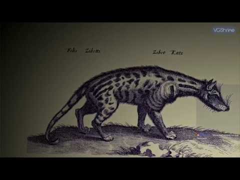 [Blind Playthrough] The Last Guardian - pt. 4