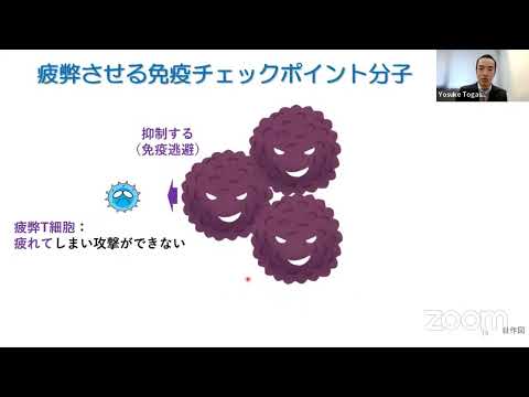 栄養学科 日本癌学会セミナーシリーズ入門編　＃3 がん免疫の基礎