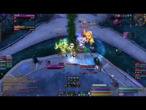 The Nighthold Heroic High Botanist Tel'arn 90% Performance DH Tank POV