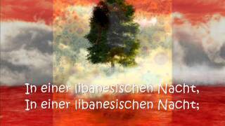 Chris de Burgh - Lebanese Night