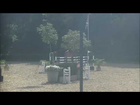 Harvey (Baloubet du Rouet)