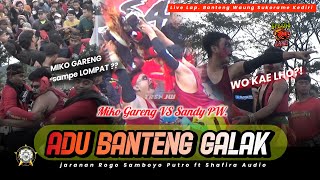 Download lagu Adu Banteng GALAK POLL ! MIKO & SANDY NGAMUK JARANAN ROGO SAMBOYO PUTRO ft SHAFIRA AUDIO mp3 Download lagu Adu Banteng GALAK POLL ! MIKO & SANDY NGAMUK JARANAN ROGO SAMBOYO PUTRO ft SHAFIRA AUDIO mp3