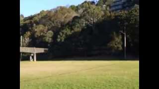 preview picture of video 'Tunks Park dog park - Cammeray, near North Sydney and Mosman'