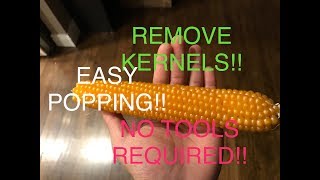 HOW TO: Homegrown Popcorn Cob Kernel Removal [EASY!!] [NO TOOLS REQUIRED!!]