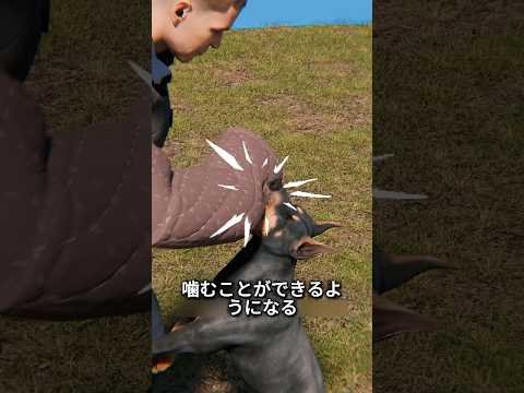 特殊部隊の犬が歯を折ったらどうするのか
