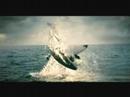 Discovery Channel - I Love The World (HQ with ...