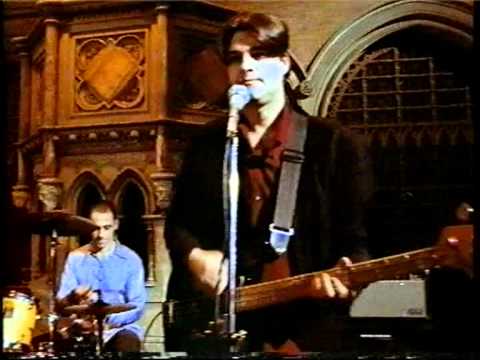 Faded Glamour - Animals That Swim
