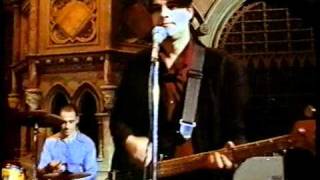 Animals That Swim - Faded Glamour