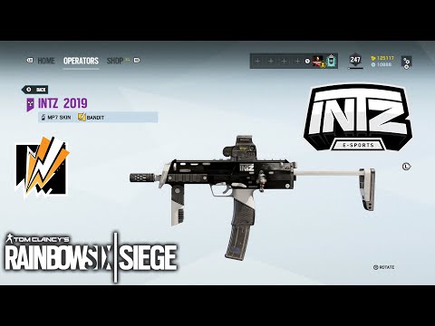 INTZ Weapon Skin - Rainbow Six Siege