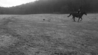 Il Divo ~ She (HD Sound quality) &amp; FULL SONG