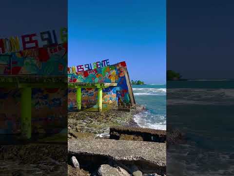 Costa Rica🇨🇷 Limón #holiday #karibik y#cruise #msc2023 #divina #costarica #limon #kostarika