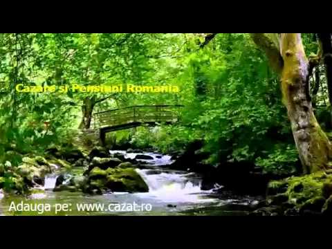 Cazare Rosiori, Suceava - Cazat.ro