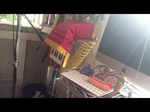 Rubis Qbik - Hand Solo (hotdog)