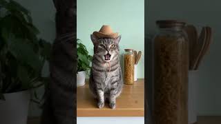 Download lagu https://youtube.com/shorts/D7vR5yxPQJU?si=nVW7o43qLKPHnTet mp3 Download lagu https://youtube.com/shorts/D7vR5yxPQJU?si=nVW7o43qLKPHnTet mp3