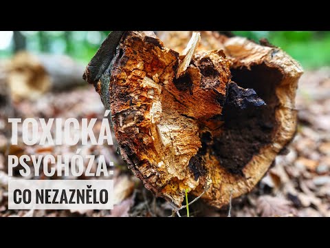 Zpověď - Toxická psychóza: Co nezaznělo