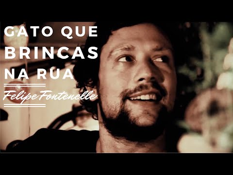Gato Que Brincas Na Rua video