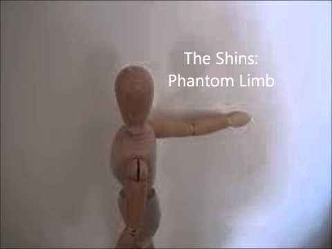 The Shins  Phantom Limb