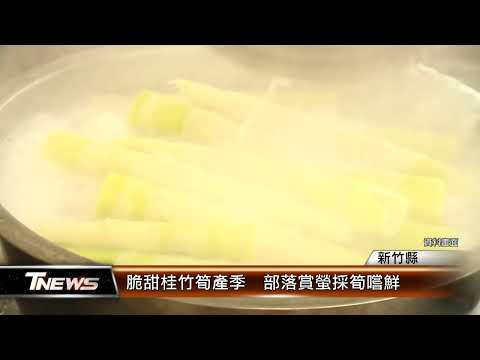 竹縣脆甜桂竹筍產季 部落賞螢採筍嚐鮮│T-NEWS聯播網