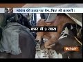 Cows recovered from a car after it met with an accident in Thane, driver absconding