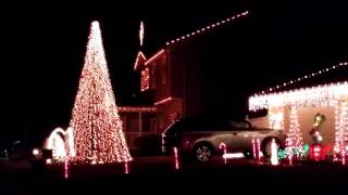 Dominick the Italian Christmas donkey