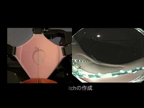 Introducing the SuTURE Model: Endoscopic Hand Suturing Simulation