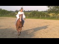 Freies Reiten Ohne Sattel Und Trense