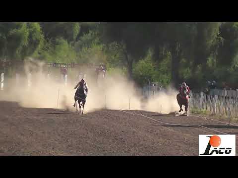 STA GGRINGA HIPODROMO DON NICO BAÑADO DE SOTO 22 05 2022