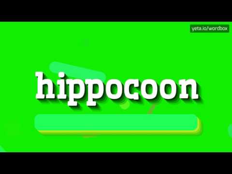 HIPPOCOON - HOW TO PRONOUNCE IT!?