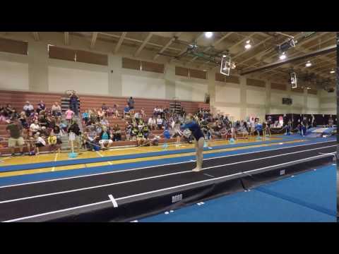 Brianna - Tumbling - Level 4 - Pass #1 - 2017 FL State Championships