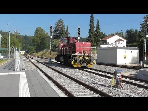 Der Güterzug von Mengen   Teil 8