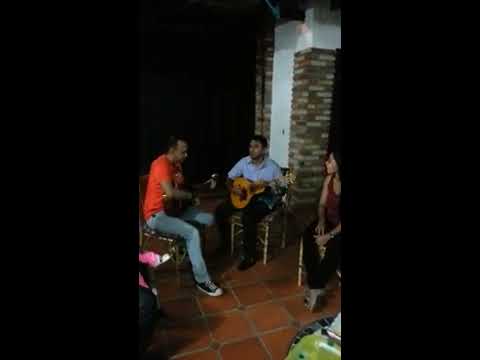 Bandola llanera - Sabanas de cunaviche.