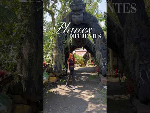 Plan cerca de Bogotá | en San Francisco Cundinamarca #planes #bogota #findesemana #cundinamarca