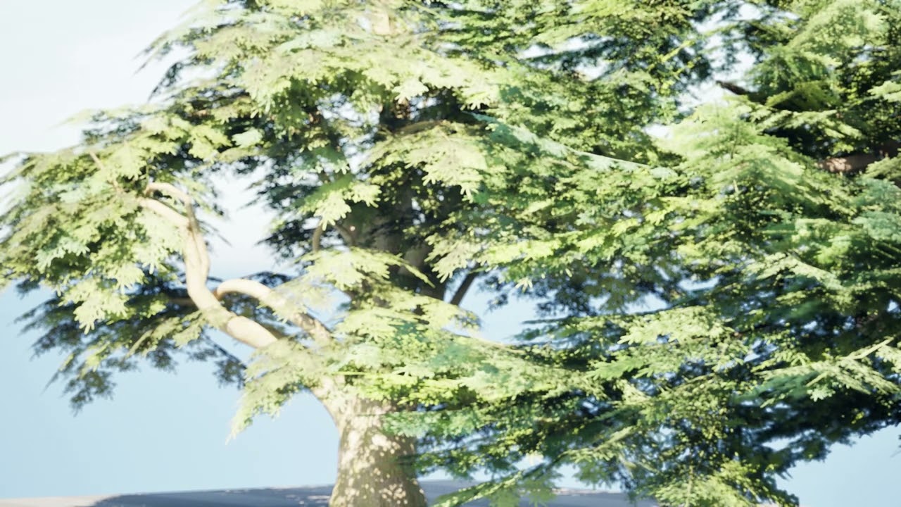 Game Ready Cedar of Lebanon Trees 3d assets 3D Model