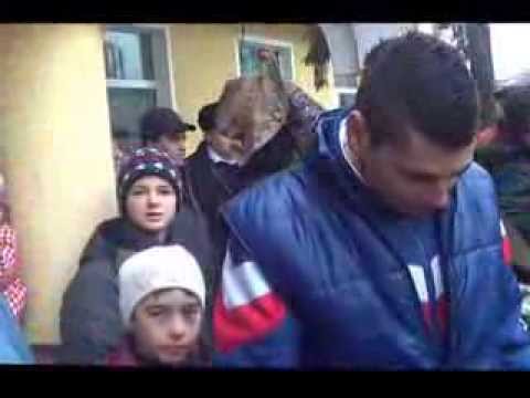 PLUGURILE MARI DIN BOGHESTI