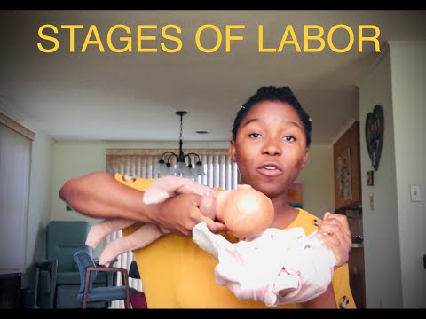 STAGES OF LABOUR ||Stages 1, 2 & 3 of Normal Labor