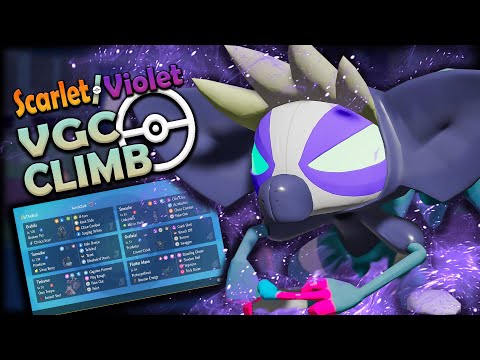 YOU WON'T BELIEVE WHAT GRAFAIAI CAN DO in Regulation D! | Pokemon Scarlet and Violet VGC 2023