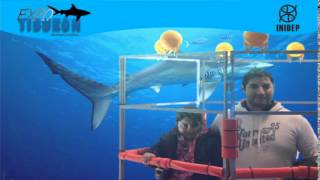 DIA 2 Expo Tiburon271