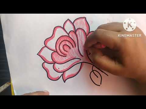 We can draw@ Shabina