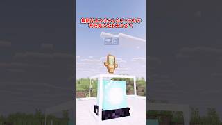 【マイクラ】最強の無限トーテム