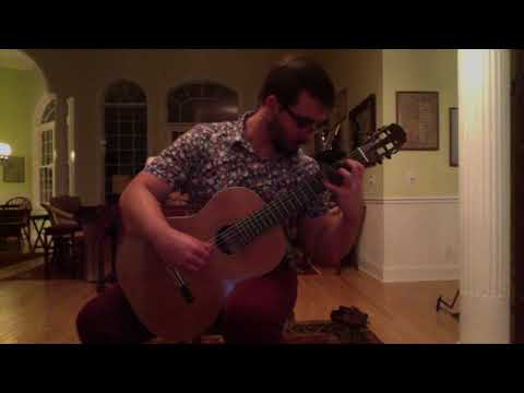 2014 Steven Walter guitar