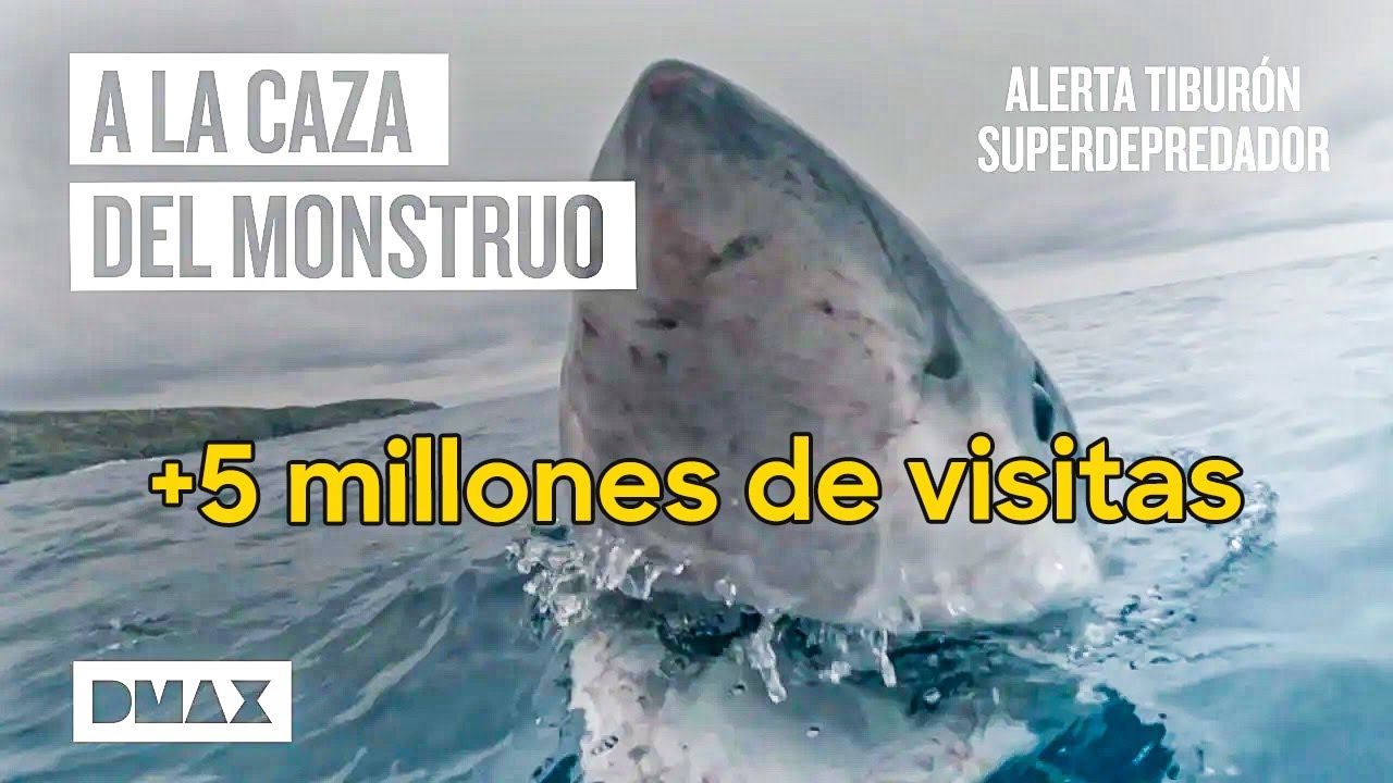 En busca del mayor superdepredador de las profundidades | Tiburones